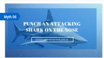 Punch an attacking shark on the nose