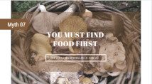 you must find food first